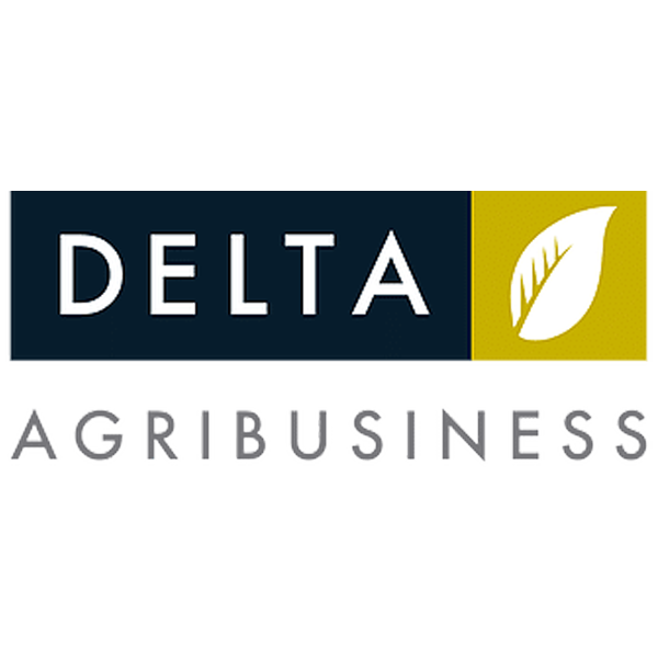 delta600 Delta logo